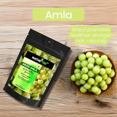Nurture Tree Premium Dried Amla - Nurture Tree