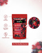 Nurture Tree Premium 3 - in - 1 Mixed Berries - Nurture Tree