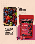 Nurture Tree Premium 3 - in - 1 Mixed Berries - Nurture Tree