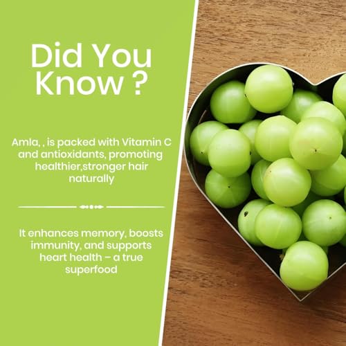 Nurture Tree Premium Dried Amla - Nurture Tree