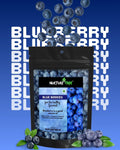 Nurture Tree Premium Dried Blueberries - Nurture Tree