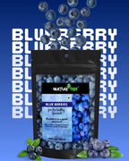 Nurture Tree Premium Dried Blueberries - Nurture Tree