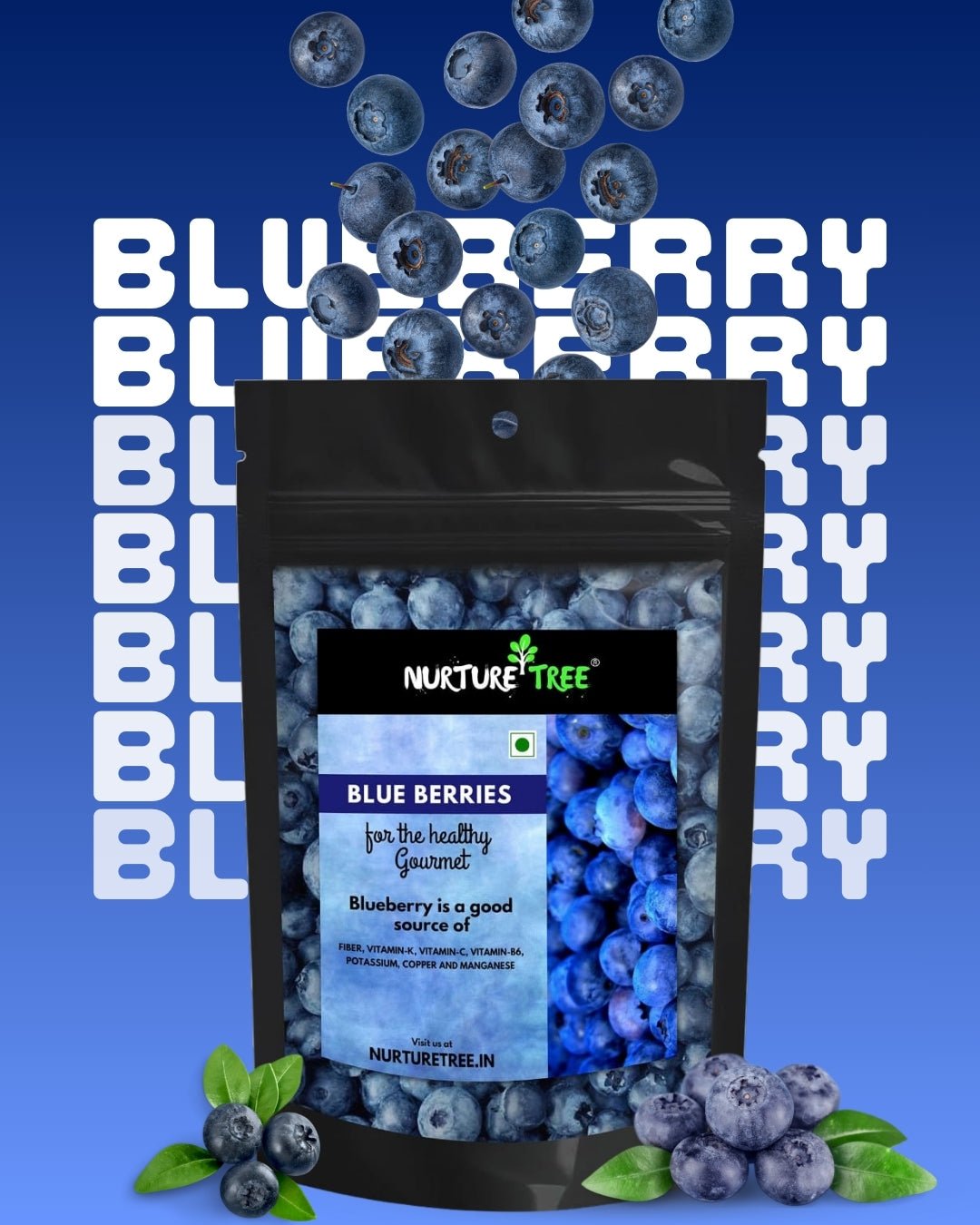Nurture Tree Premium Dried Blueberries - Nurture Tree