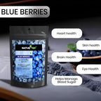 Nurture Tree Premium Dried Blueberries - Nurture Tree