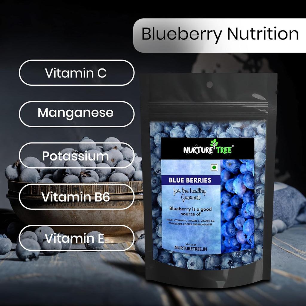Nurture Tree Premium Dried Blueberries - Nurture Tree