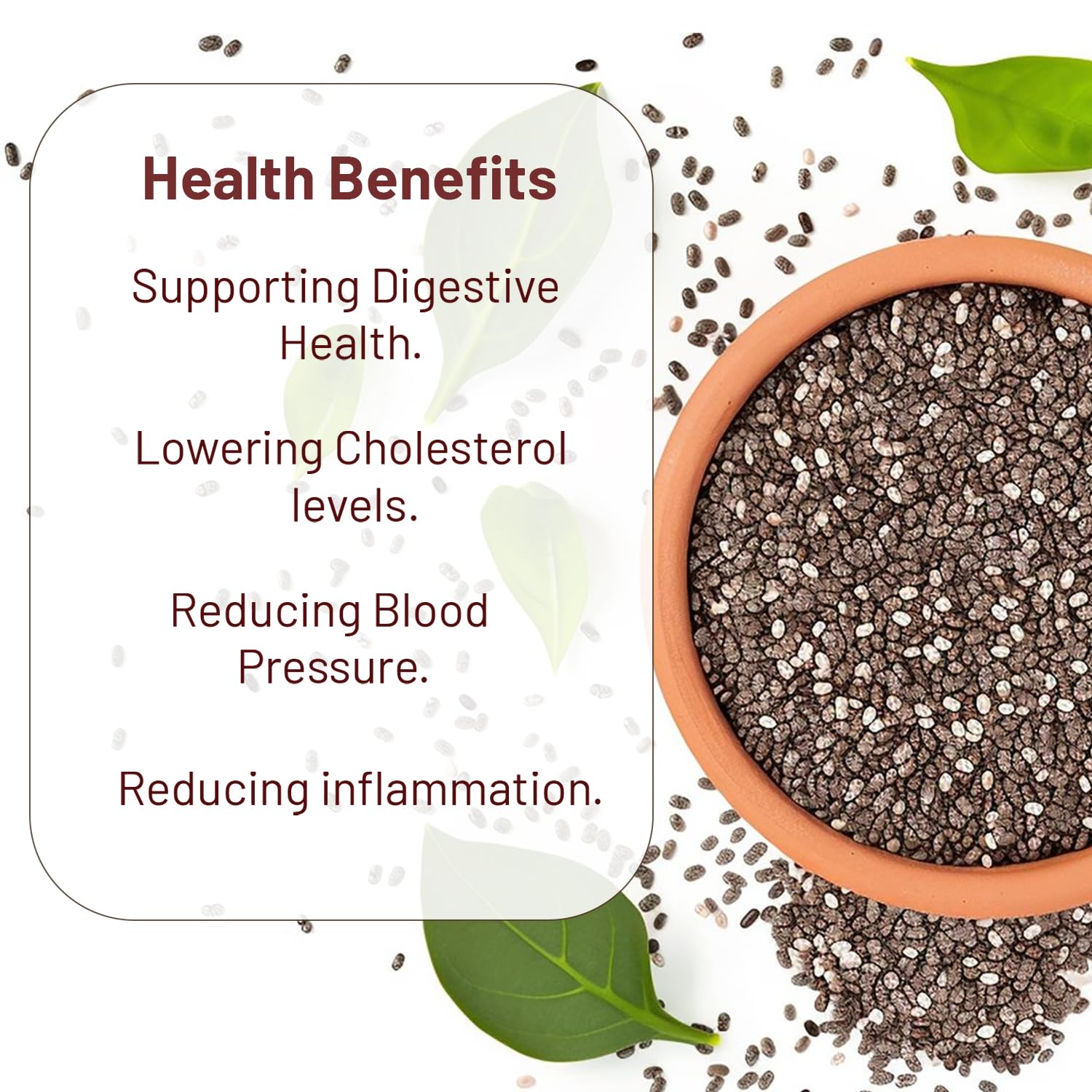 Nurture Tree Premium Roasted Chia Seeds - Nurture Tree
