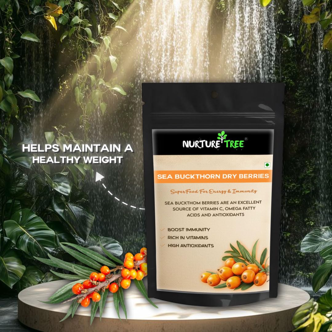 Nurture Tree Premium Sea Buckthorn Dried Berries - Nurture Tree