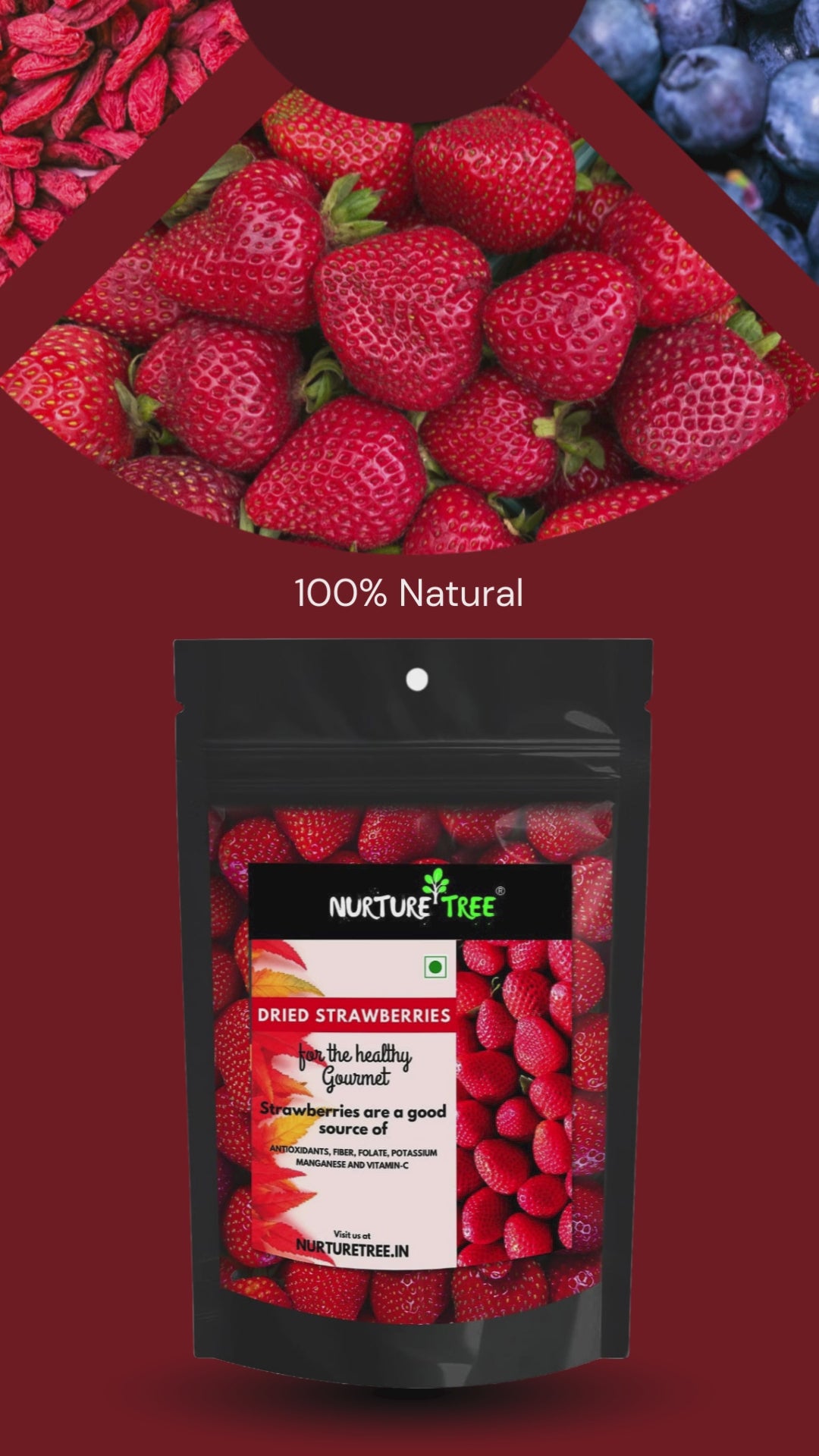 Nurture Tree premium dry Berries